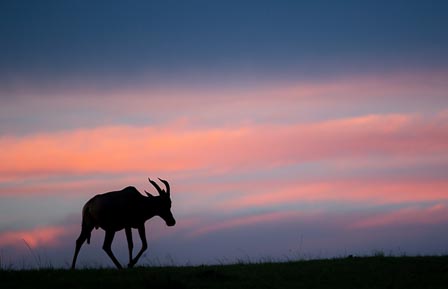 Africa Travel Specialists Safari Guru Deon De Villiers