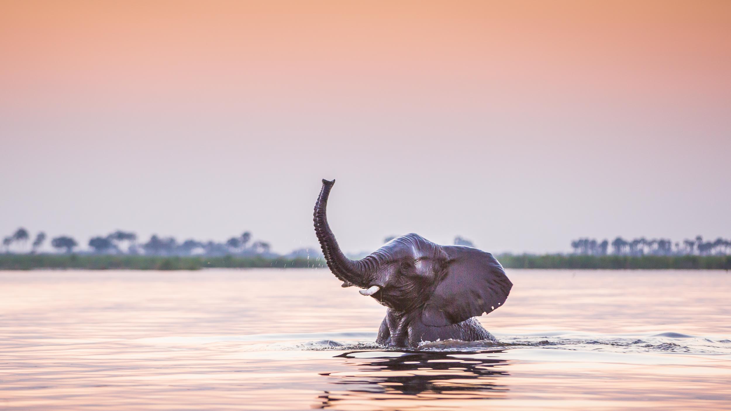 Africa Travel Specialists Australia Luxury Safari Guru Club Deon De Villiers